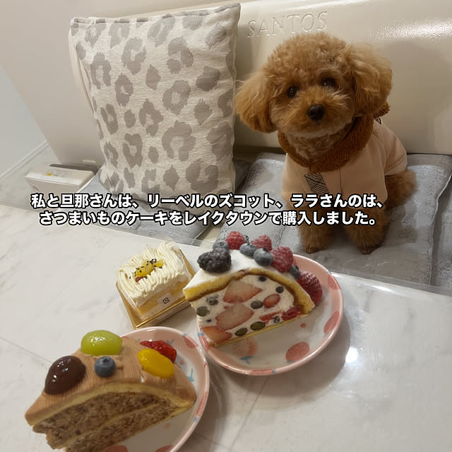 makiさんの実例写真