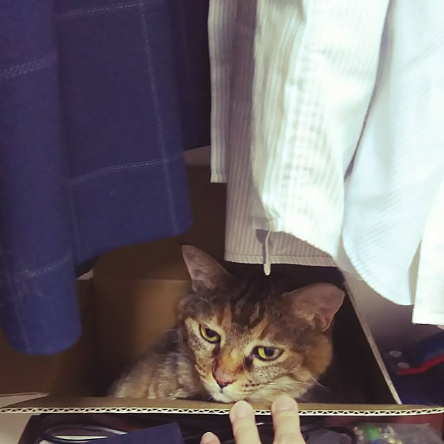Yukoさんの実例写真
