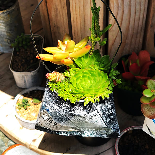 rinさんの部屋