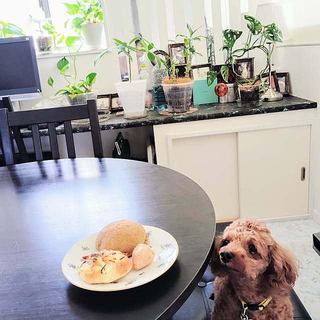 MOMOMAMAさんの実例写真