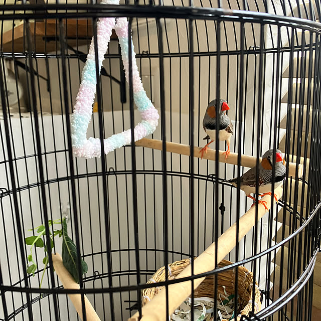 Yukoさんの実例写真