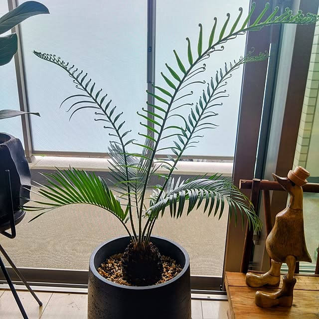 kerochanさんの部屋