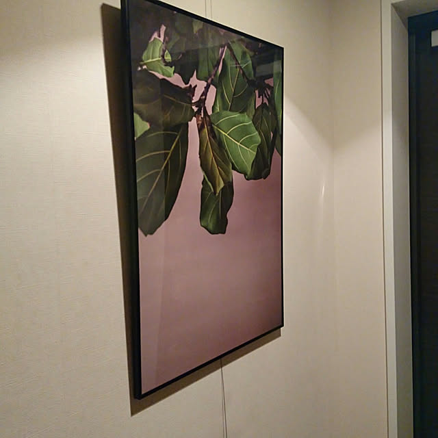 tokiさんの実例写真