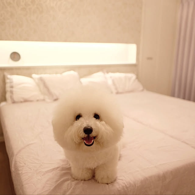 ma_house3101さんの実例写真