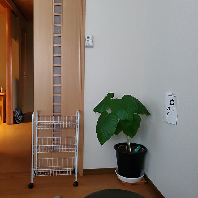 momomamaさんの実例写真