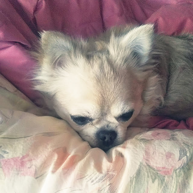 kiraさんの実例写真