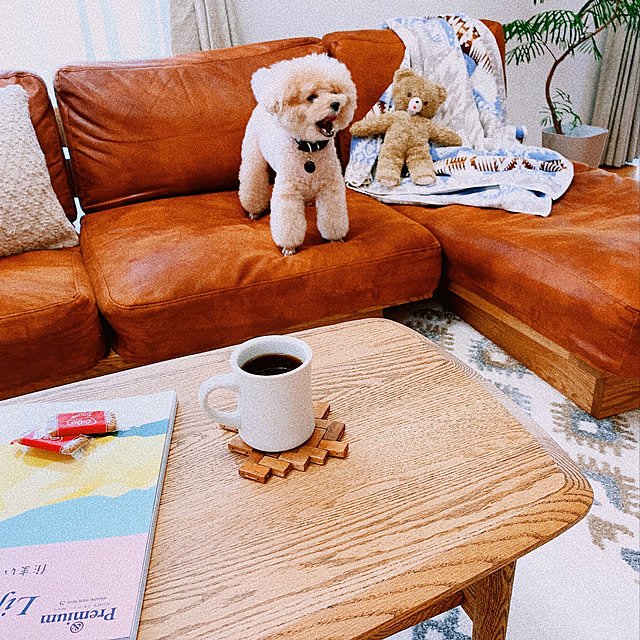 teaさんの実例写真