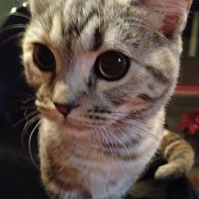 shujiさんの実例写真
