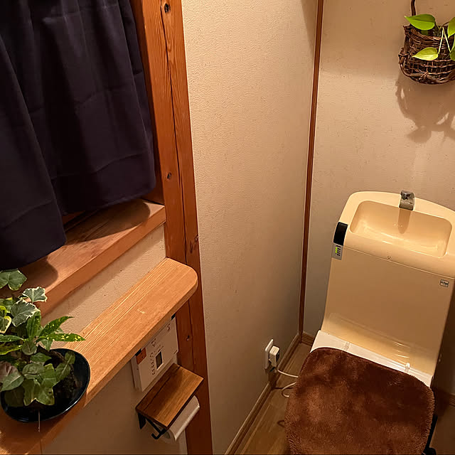 グリーンのある暮らし/カフェカーテン/苔玉/丁寧な暮らし/カゴ...などのインテリア実例 - 2022-11-17 22:27:53