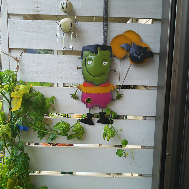 mmpoohさんの実例写真