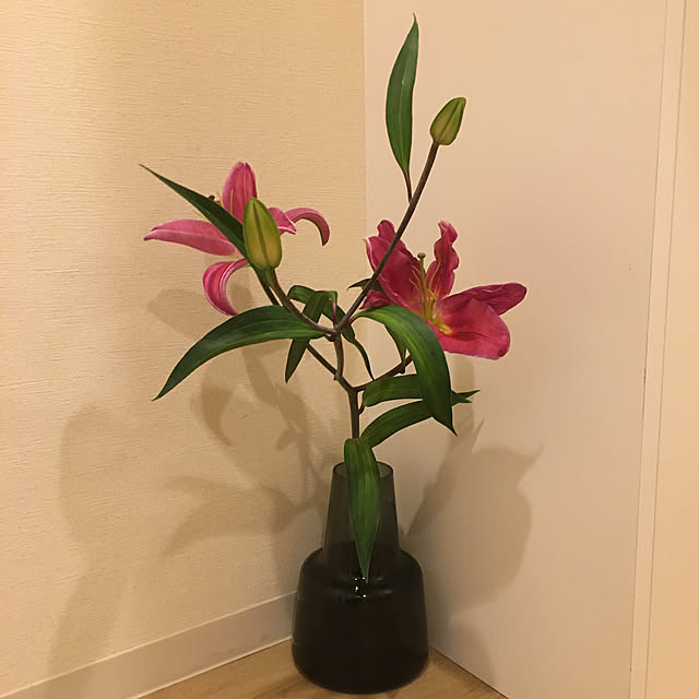 ringozakuraさんの実例写真