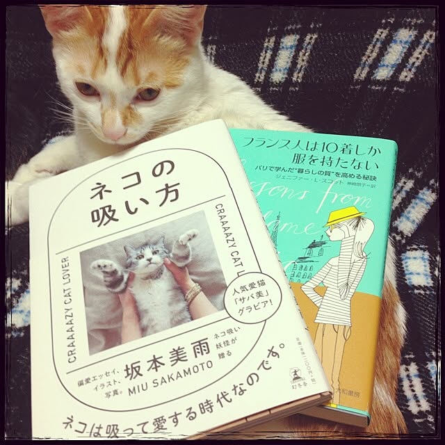 Mayuさんの実例写真