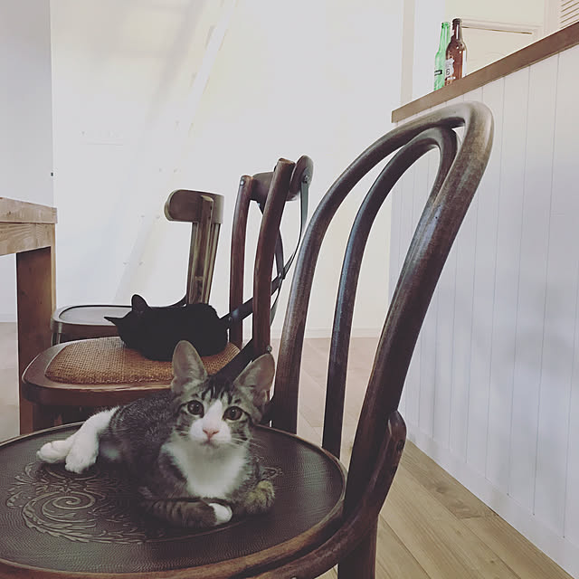blackcatさんの実例写真