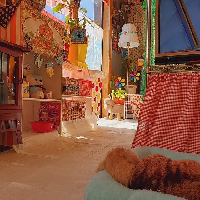 kumutanさんの実例写真
