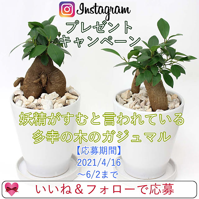 BloomingScapeさんの実例写真