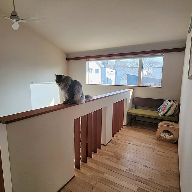 kossyさんの部屋