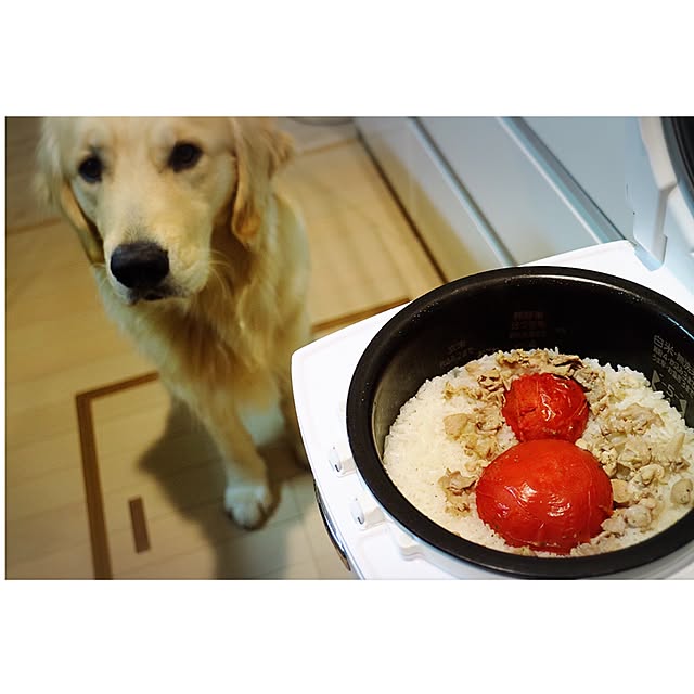 chulaさんの実例写真