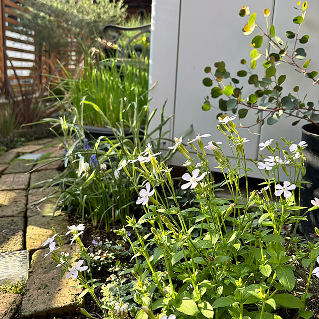 kyoko1124koさんの部屋