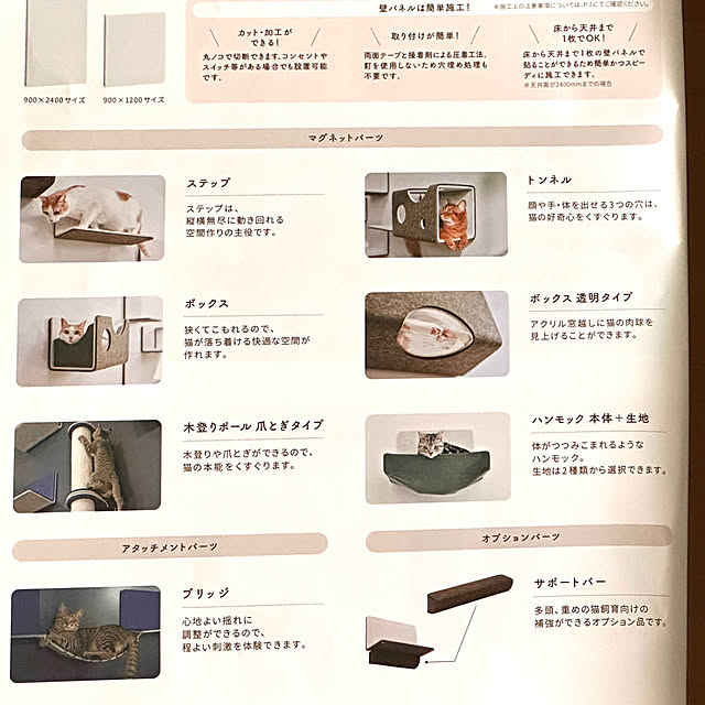 mizucchiさんの部屋