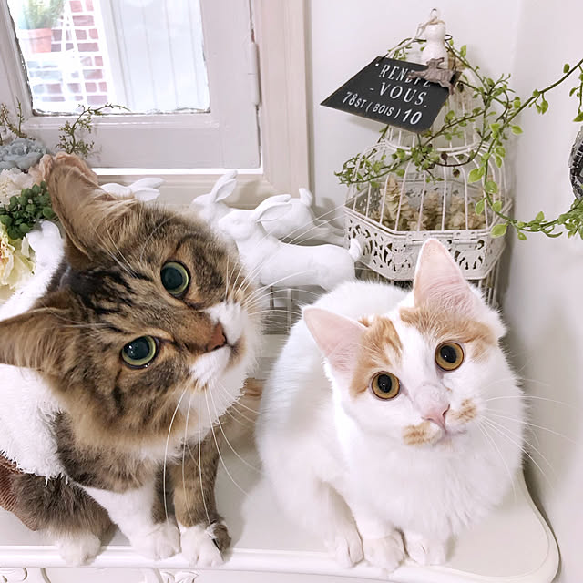 yuchiさんの実例写真