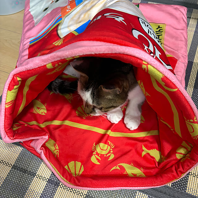 kuntaさんの部屋