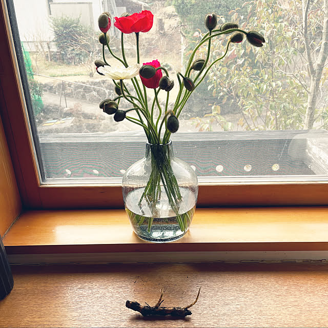 kabu10さんの実例写真