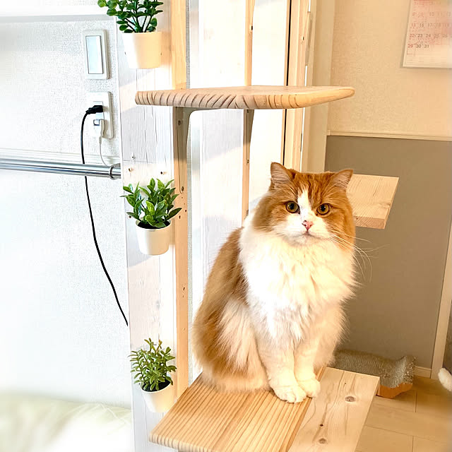 H.Tさんの実例写真
