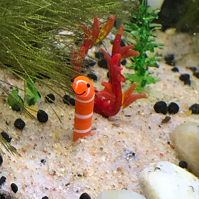 kouta_Co.さんの実例写真