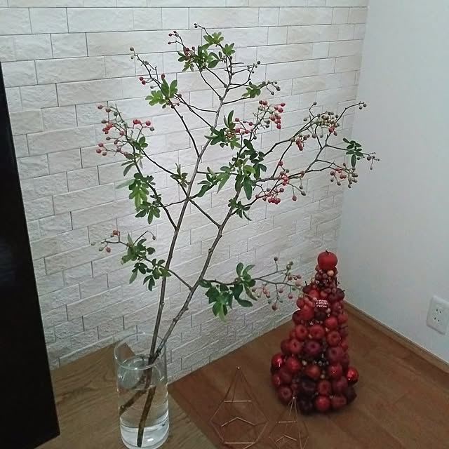 anemone37さんの実例写真