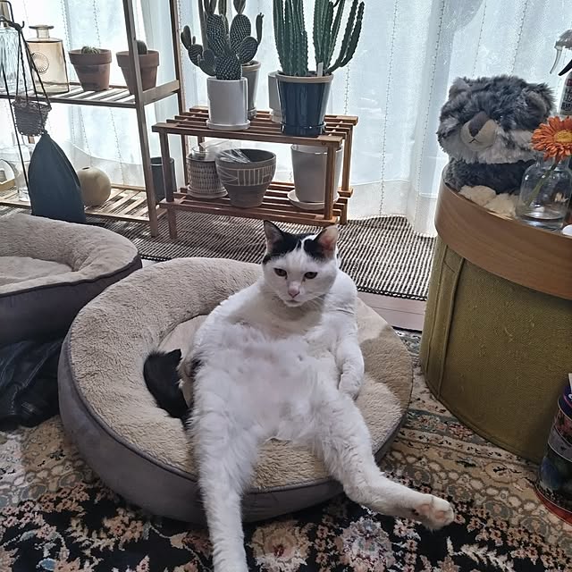 yuuさんの実例写真
