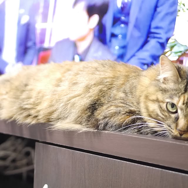 Harukaさんの実例写真