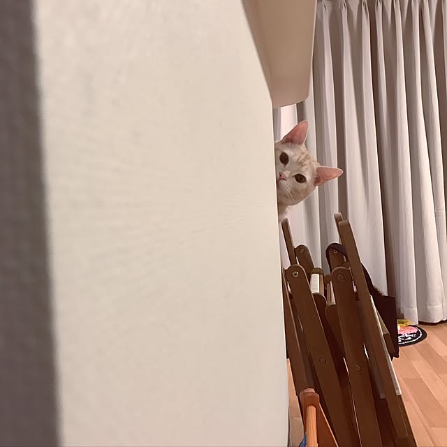hiyupan88さんの実例写真
