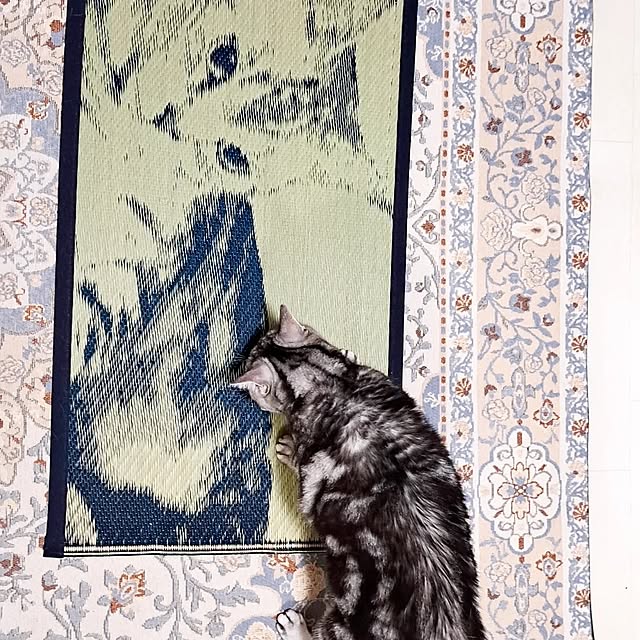kumingさんの部屋