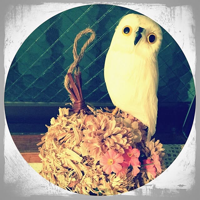 mimiさんの部屋