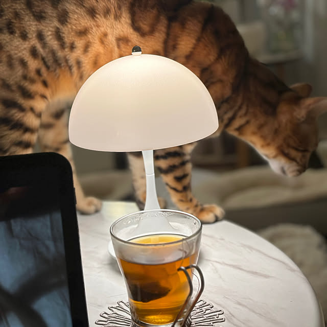 nene6さんの実例写真