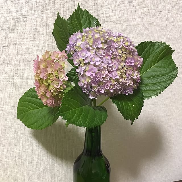 Ryokoさんの実例写真