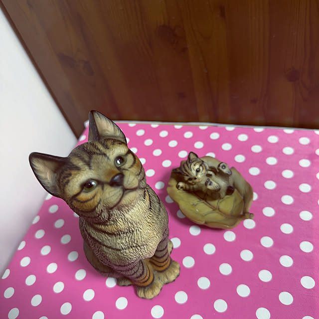 kyoutamaさんの実例写真