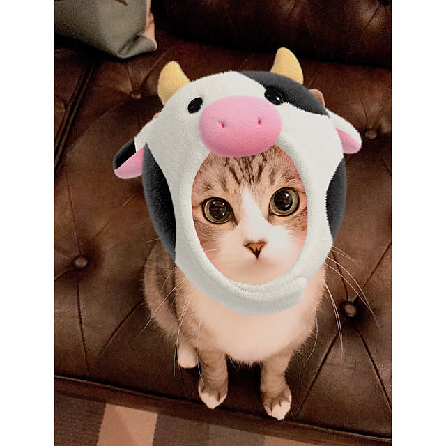 na-sanさんの実例写真