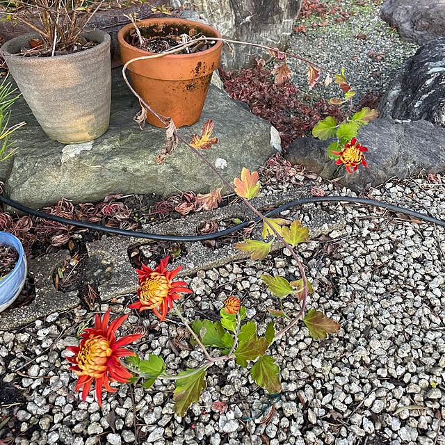 shin0719さんの部屋