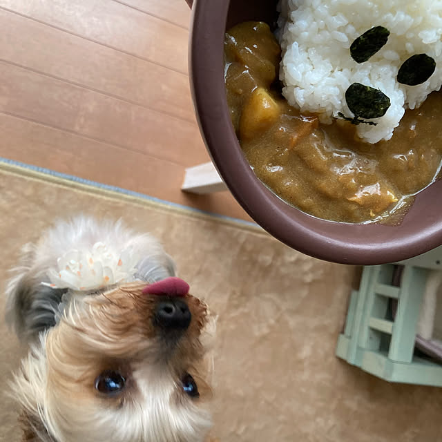 mayuoさんの実例写真