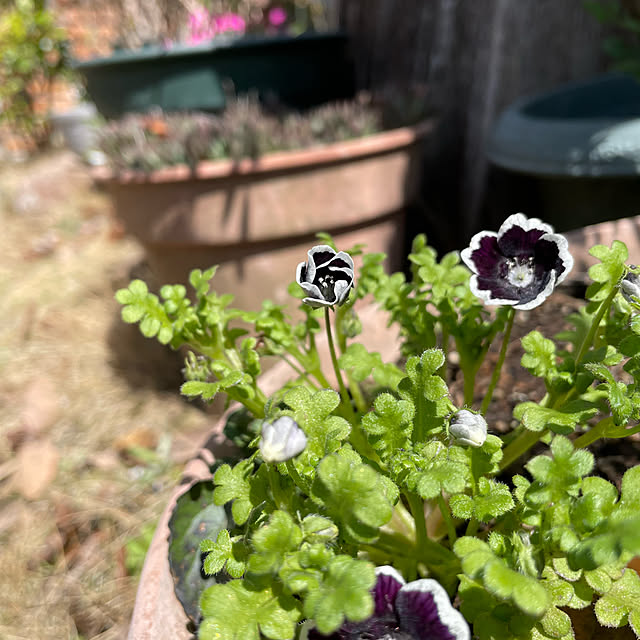 natsumiさんの部屋