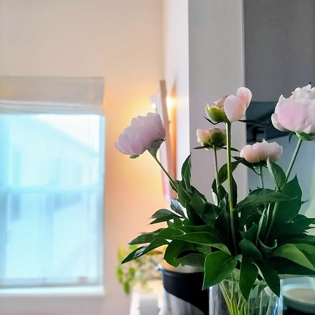 Haさんの部屋