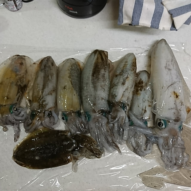macoさんの実例写真