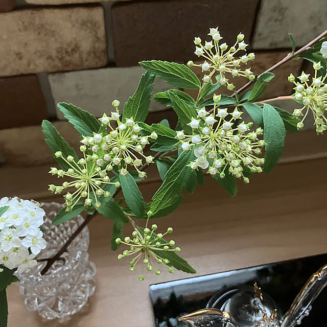 ikubooさんの部屋