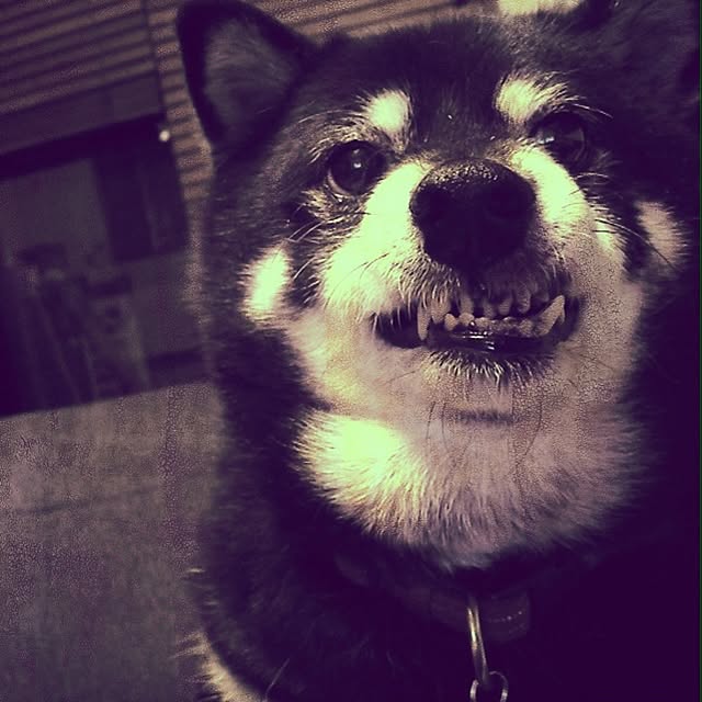 jnkaiさんの実例写真