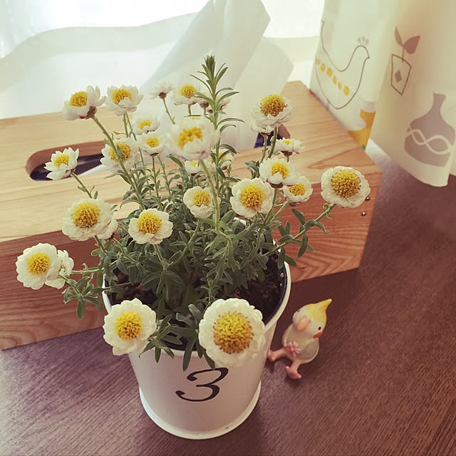 yukatakoさんの実例写真