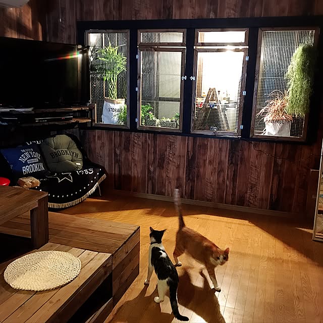 NIKOPANDAさんの実例写真