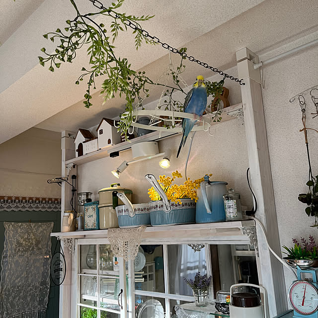 Atsukoさんの部屋