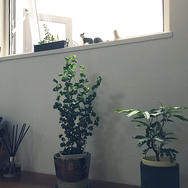 waoukaiさんの実例写真