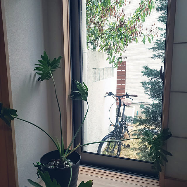mikoさんの実例写真